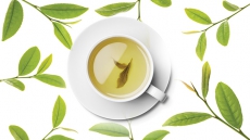 Everyoneʼs Cup of Tea