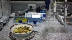 Robot to figure out if Thai cuisine is genuine or not