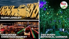 WATCH: Darpan Cruiser bring you Christmas festivities around town