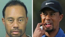 Tiger Woods, Former World No.1 Golfer, Arrested For Drink Driving