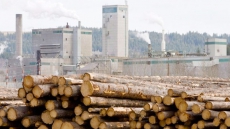 B.C. And Third First Nation In Campbell River Sign Timber Licence Deal