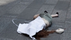 Canadian Injured In Times Square Car Attack In 'Very Critical' Condition: Police