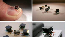 Tiny robots to help you perform daily chores