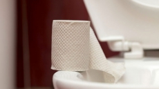 Use Wet Wipes Instead of Toilet Papers, Says Doctors