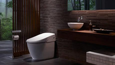 Japan home to world's most sophisticated toilets