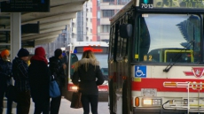 Man Arrested After Forcing Toronto Transit Bus To Take Him To Tim Hortons