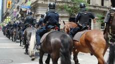 Not Safe For Cops To Pick Up After Their Horses, Toronto Police Say In #poopchat