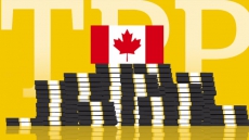 The Election That Could Kill TPP Trade Deal: No, Not The Canadian One