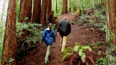 A Sip-and-Step Guide To Hiking The Napa Valley