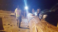 Tree Falls On B.C. Highway 99; Paramedics Take 8 People To Hospital