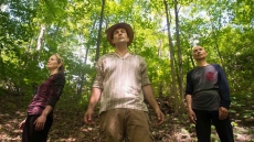 Take A Hike: Forest Bathing Embraces Healing Properties Of Trees