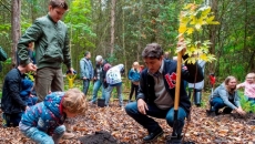 8.5 million of promised two billion trees planted