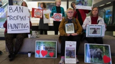 Grizzly Hunters From EU Granted Permits To Export From B.C. Despite Ban: Report