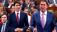 Tory Leader Andrew Scheer Insists Committee Get Briefed On India Trip Before He Does