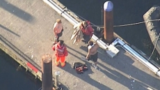 Two Men Rescued Without Injuries After Tugboat Sinks In Vancouver's Burrard Inlet, No Fuel Leak