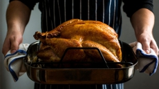 Bacteria confirmed in turkey served at New Brunswick community dinner