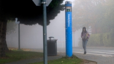 Woman Groped In An Early-morning Sexual Assault Near UBC Campus, Police Search Neighbourhood
