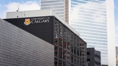 COVID-19 weakened environmental rules: study