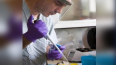 Rising COVID trend amid vaccine supply concerns