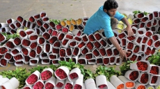 Roses, Wine And Dine: Indians Celebrate Valentine Day With Fervour