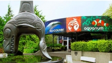 Vancouver Aquarium has been sold to US tourism operator, Herschend Enterprises