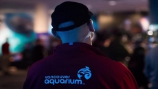 COVID pushes Vancouver Aquarium to close again
