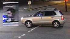 Vancouver Police appeals for witnesses to hit-and-run
