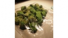 Vancouver Police shut down drug lab, Janell Sandhu and Cody Casey charged