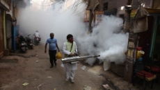 Delhi sees more vector-borne disease cases this year