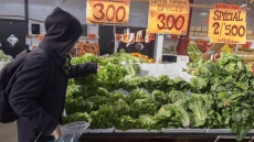 7 Reason Why A Great Percentage Of People Are Switching To A Vegetarian Life