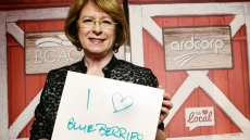 Independent MLA Says Provincial Government Should Be Steering BC Ferries