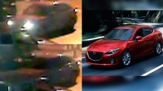 Skateboarder Shot In Hand In Random East Vancouver Drive-by