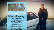 VPD: Don’t Let Thieves Ruin Your Holiday Season