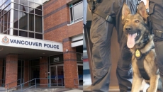 Suspect arrested after Vancouver Police dog bitten