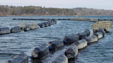 Urine found in hospital water cooler in St. John's, N.L., health board says