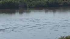 Saskatchewan City Shuts Down Water Intake Due To Oil Slick