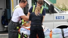 Surrey RCMP Investigate Pit Bull Attack On Woman