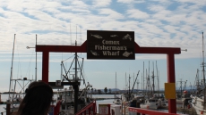 A closer look at BC’s seafood industry