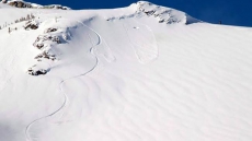 Australian Tourist Dies In Whistler After Snowmobile Hits Tree