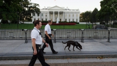 Armed man detained near White House