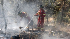 Wet Weather Means All Types Of Burning, Forest Use, OK In Two B.C. Fire Centres