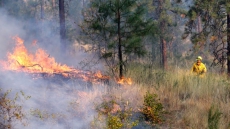 B.C. Communities On Evacuation Alert Over Concerns About Washington State Blaze