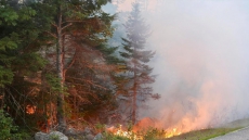 'Extremely Challenging' Nova Scotia Wildfire Spreads To 240 Hectares