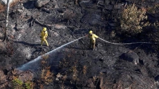 More Land Burned But Fewer Affected Than Last Year: B.C. Wildfire Service