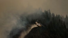 Wildfire activity jumps again overnight after lightning strikes across B.C.