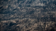 Campfires once again permitted in much of B.C.