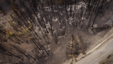 Mexican wildfire fighters set to leave B.C.