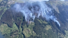 Wildfires continue to drop in B.C., just over 40 blazes burning out of control