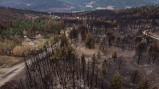 No train link to wildfire in Lytton, B.C.: TSB