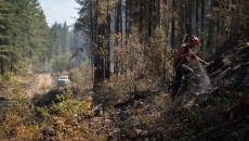 Number of wildfires in B.C. falls below 250